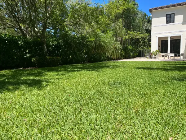 Landscape Design Services