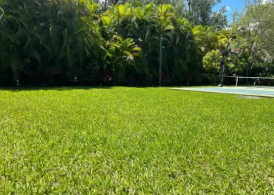 Landscape Service