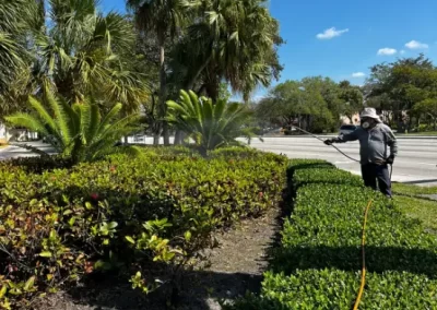 Landscape Services