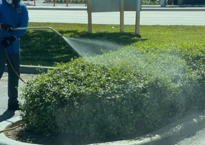 Landscape Services
