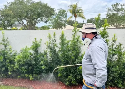 Landscape Services