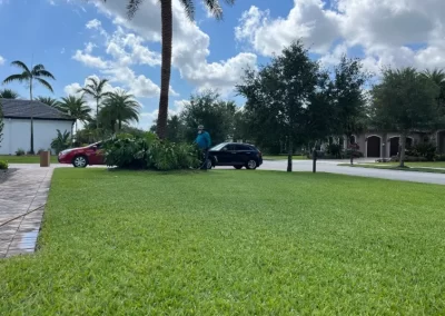 Landscape Services