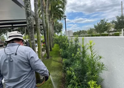 Landscape Services