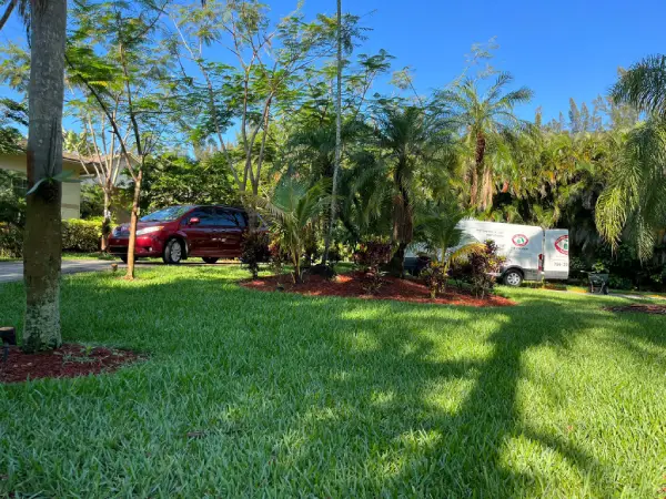 Tree Trimming Service