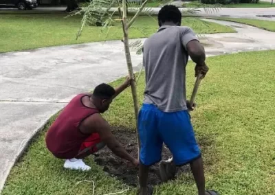 Dependable Landscape Services