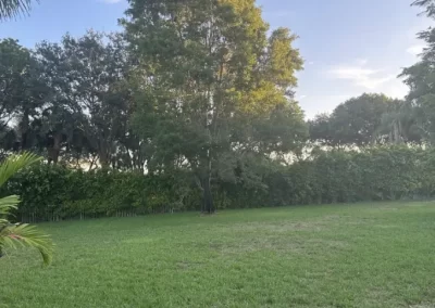 Landscape Services