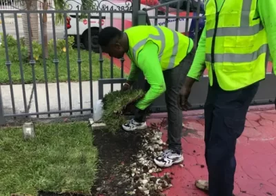 Landscaping Contractor