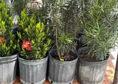 Reliable Landscape Services